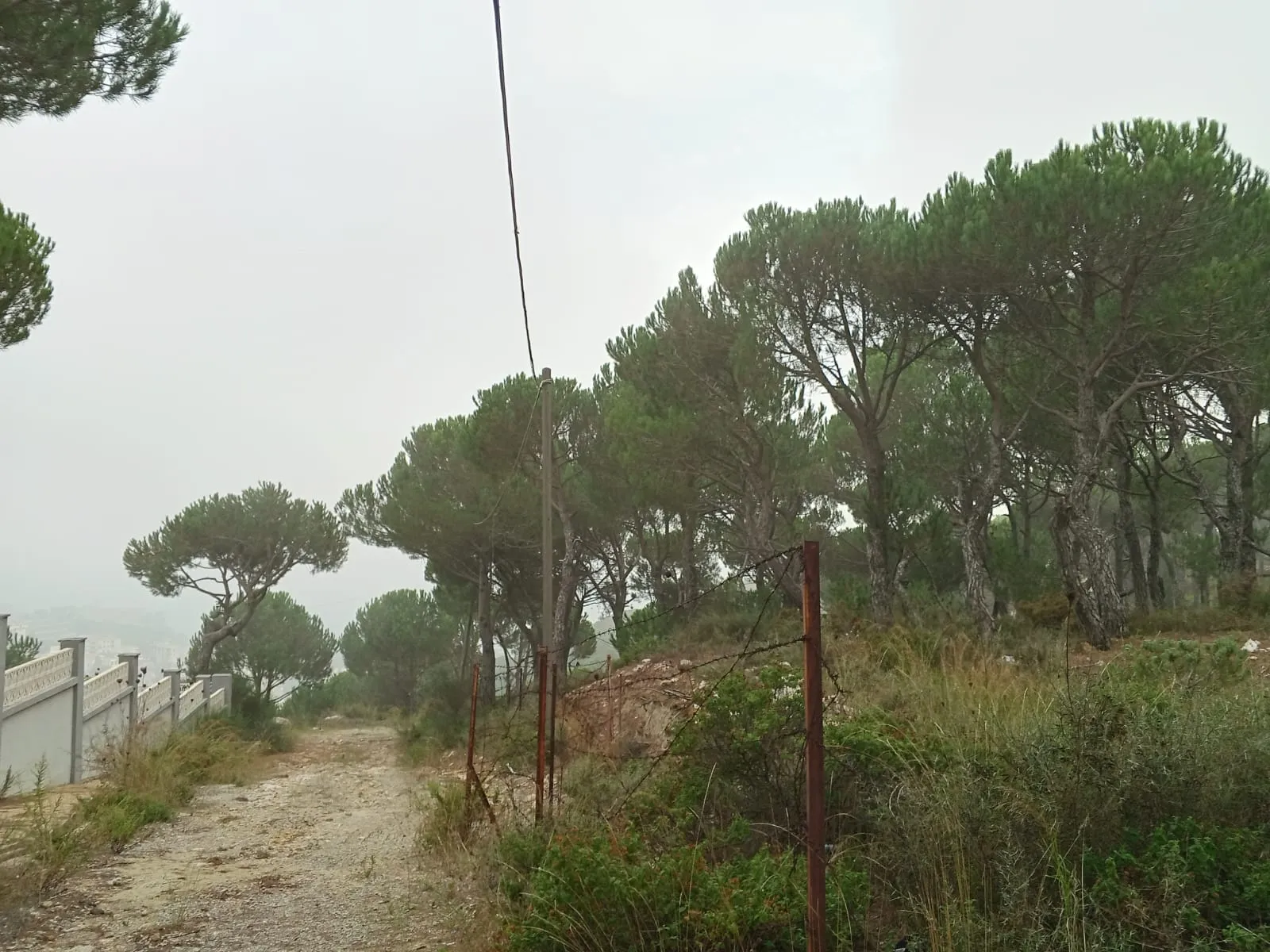 Land for Sale in Bikfaya — photo 3