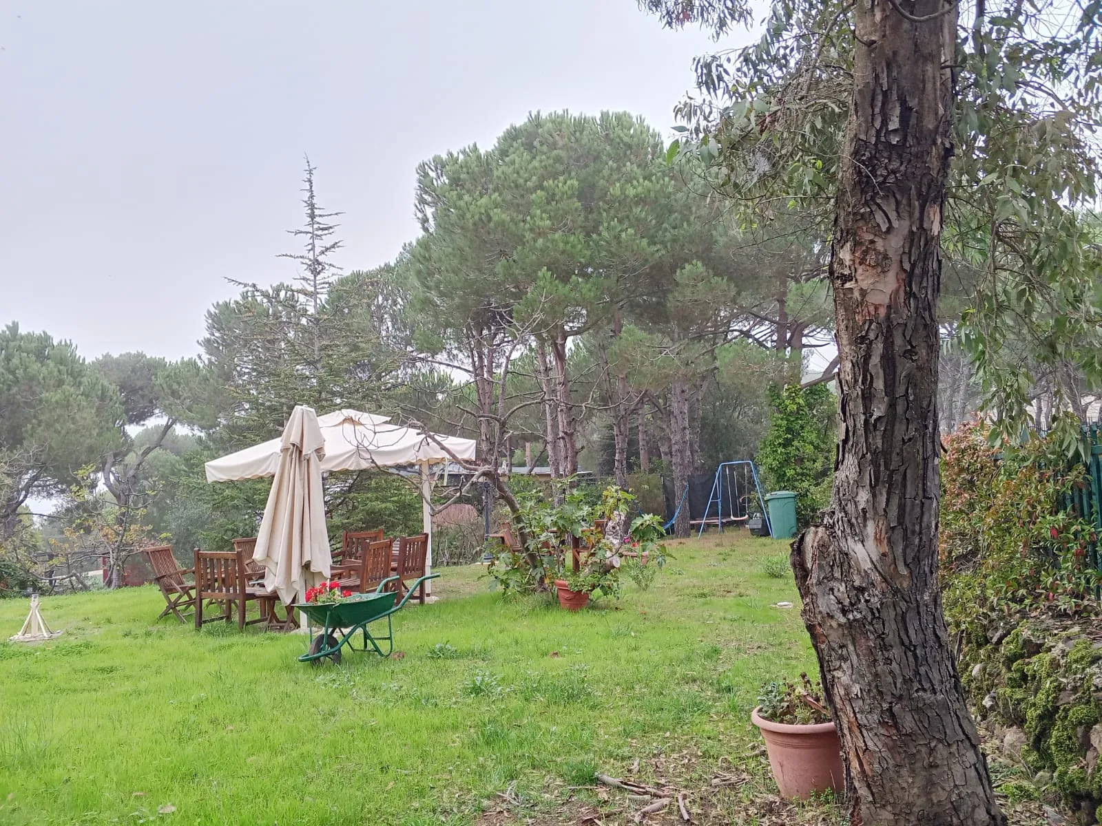 Land for Sale in Bikfaya Naas — photo 3