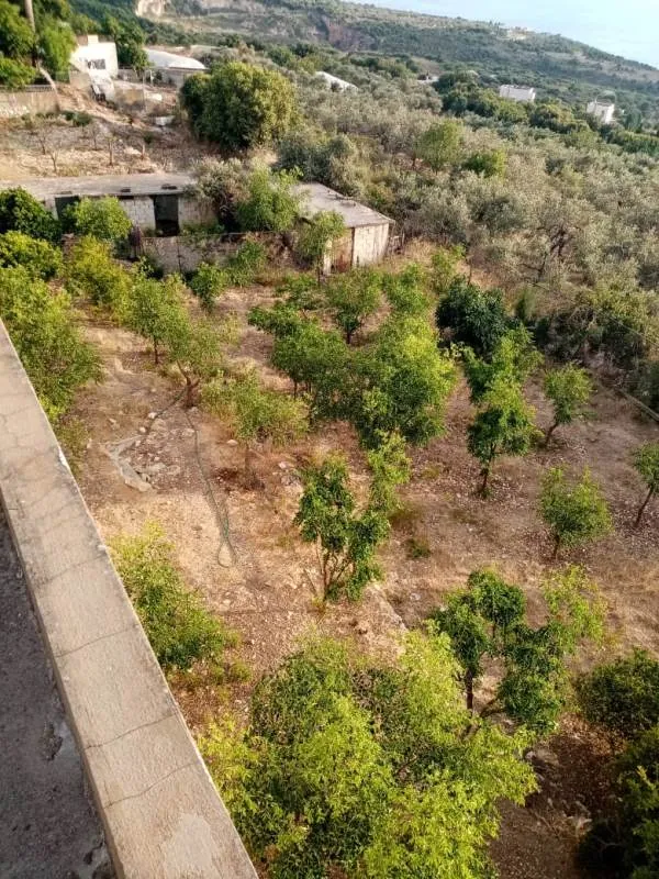 Independent House for Sale in Barbara — photo 3
