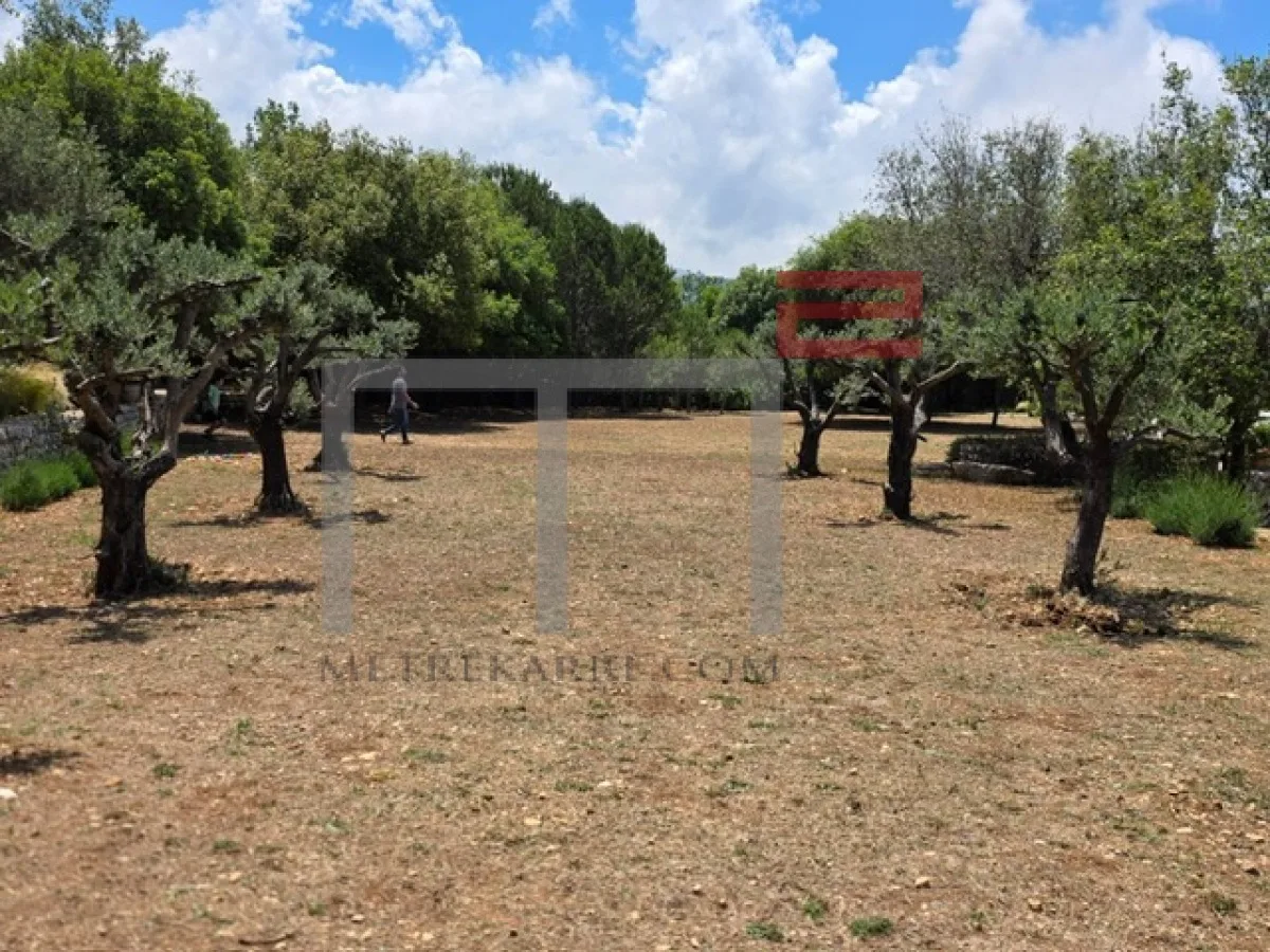 Villa for Sale in North — الصورة 3