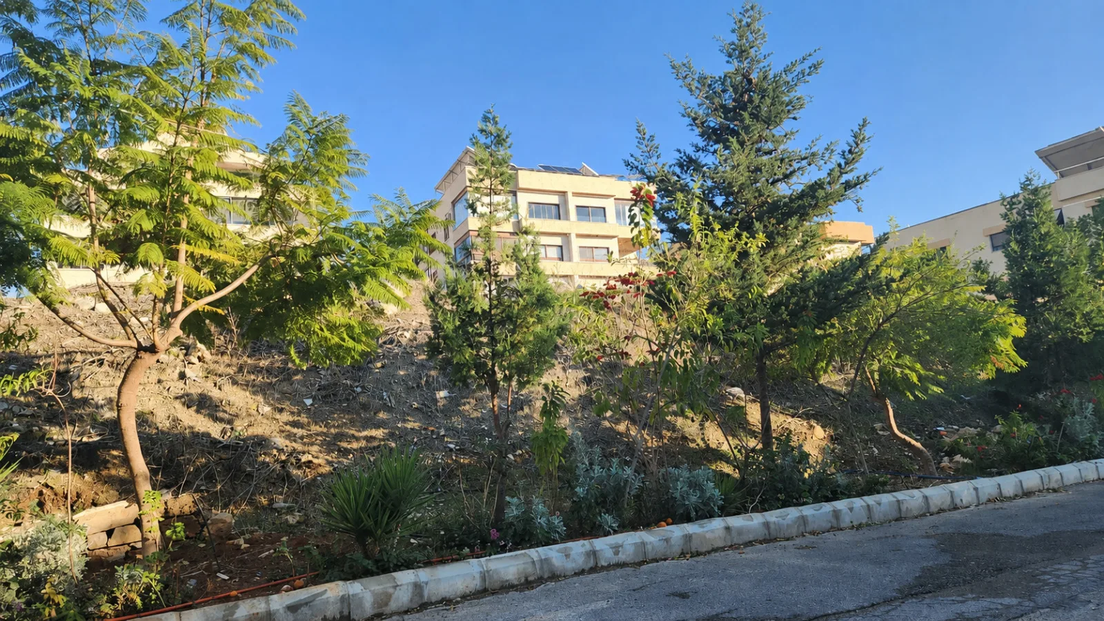 Land for Sale in Sidon — الصورة 4
