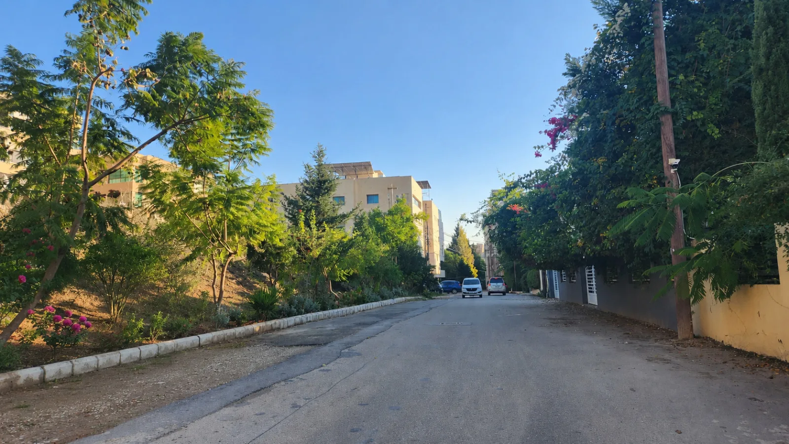 Land for Sale in Sidon — الصورة 6