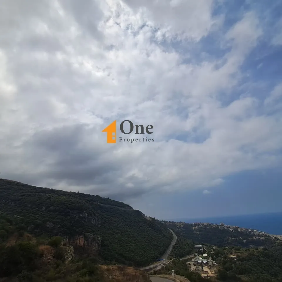 Duplex Apartment For Sale In Maaysra — photo 3