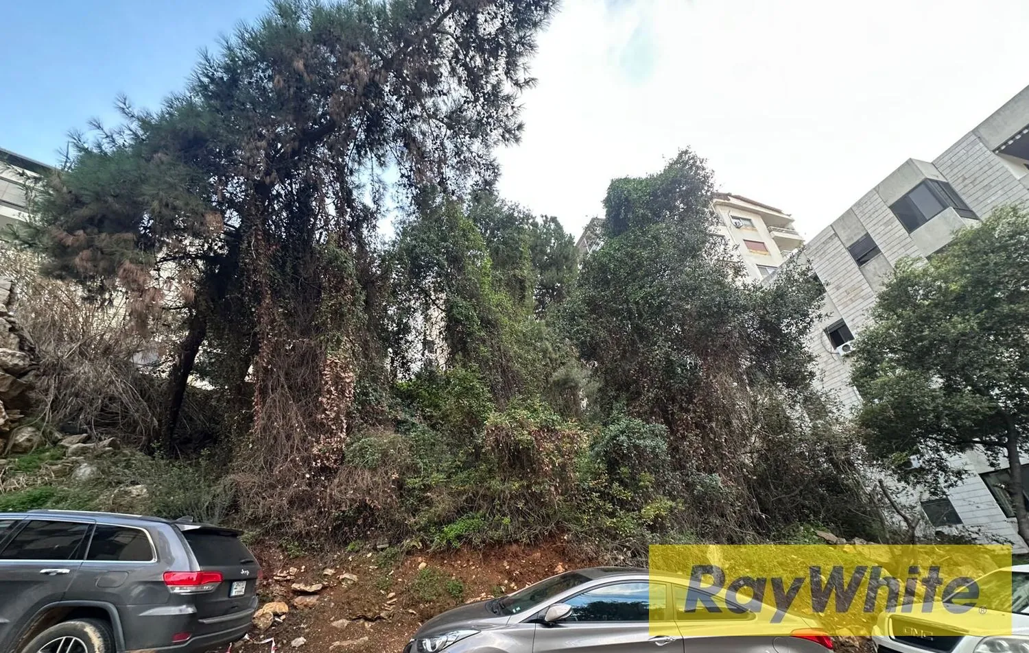 Land For Sale – Beit El Chaar | 587 Sqm — الصورة 3