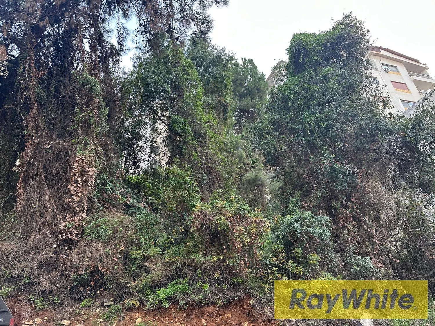 Land For Sale – Beit El Chaar | 587 Sqm — الصورة 4