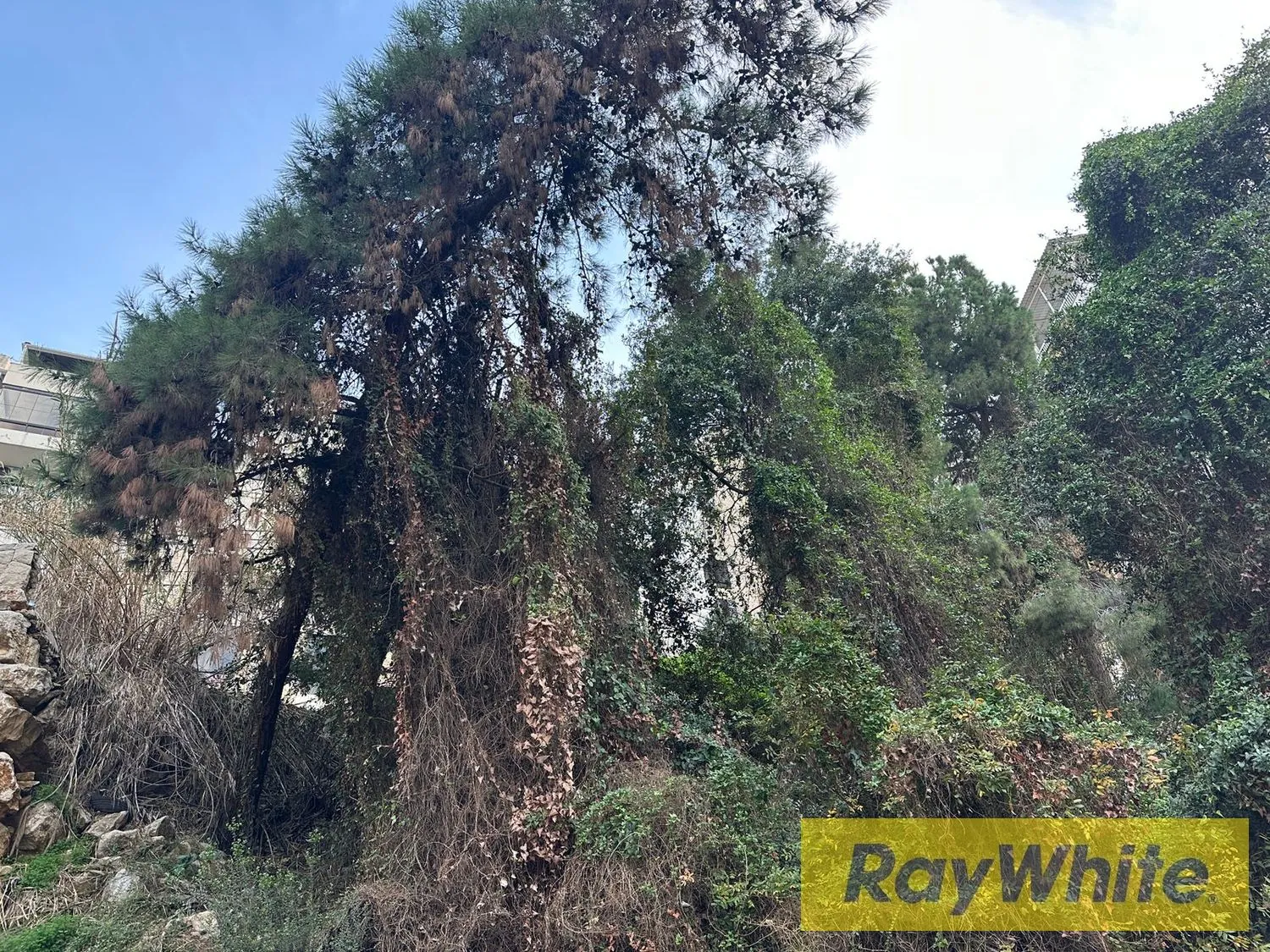 Land For Sale – Beit El Chaar | 587 Sqm — الصورة 5