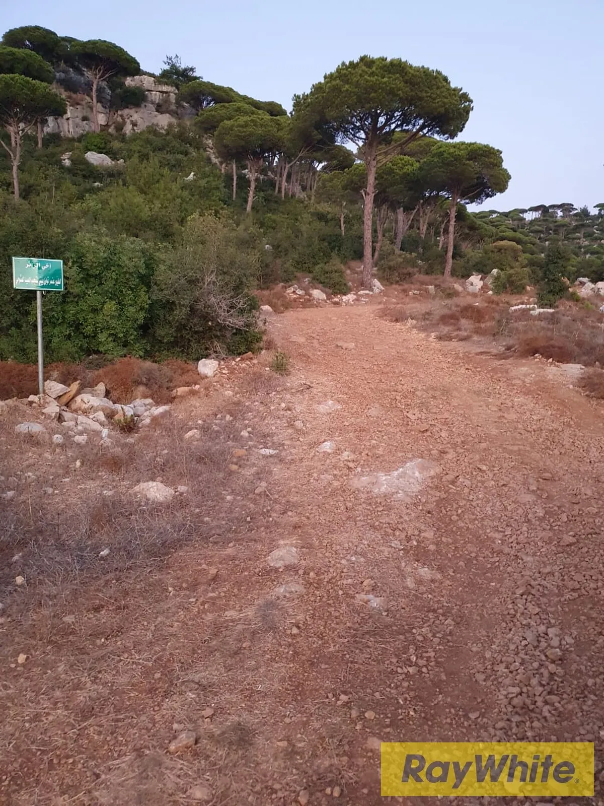Multiple Lands For Sale In Ras Al Maten — الصورة 2