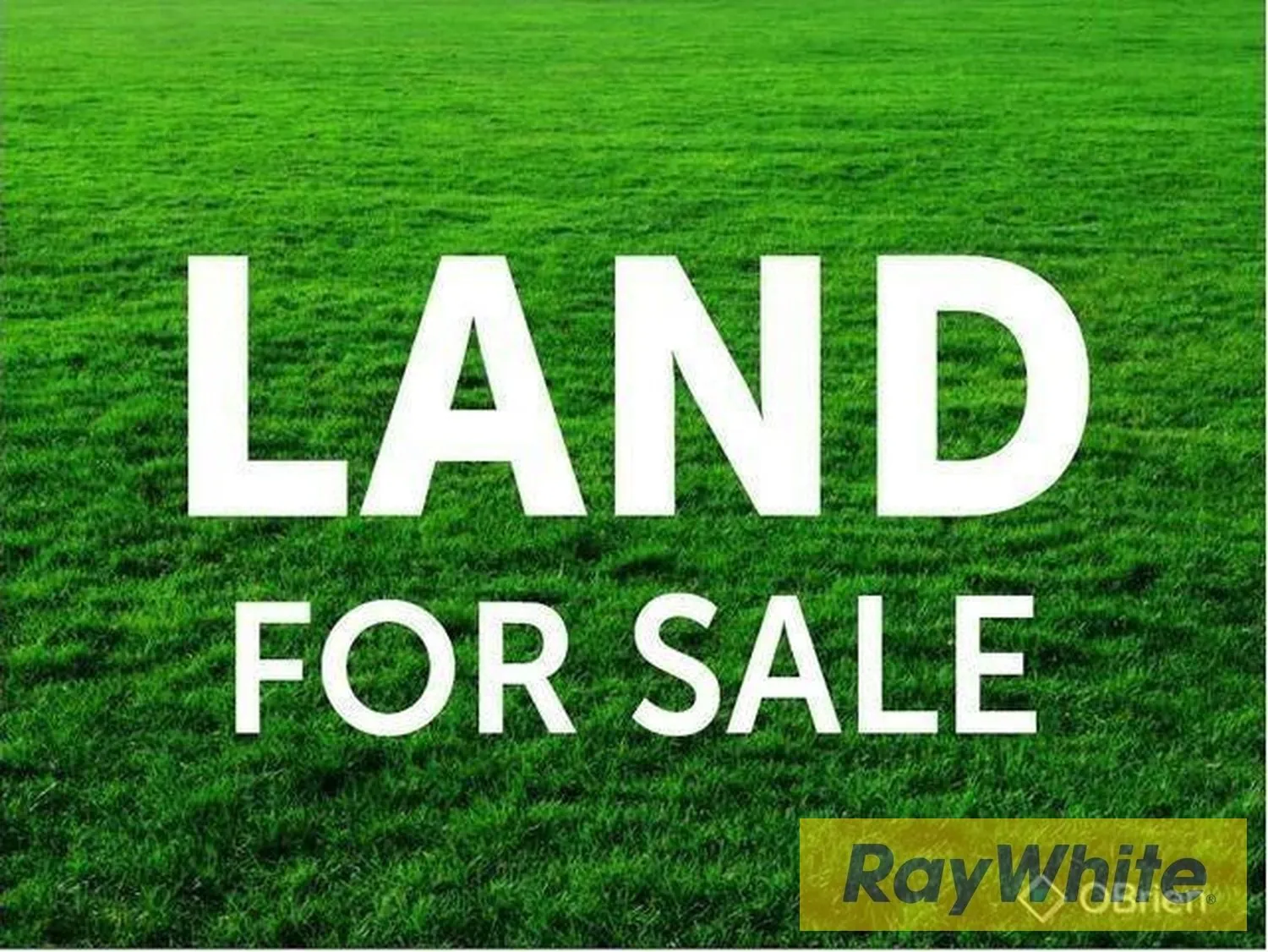 Land For Sale In Antelias