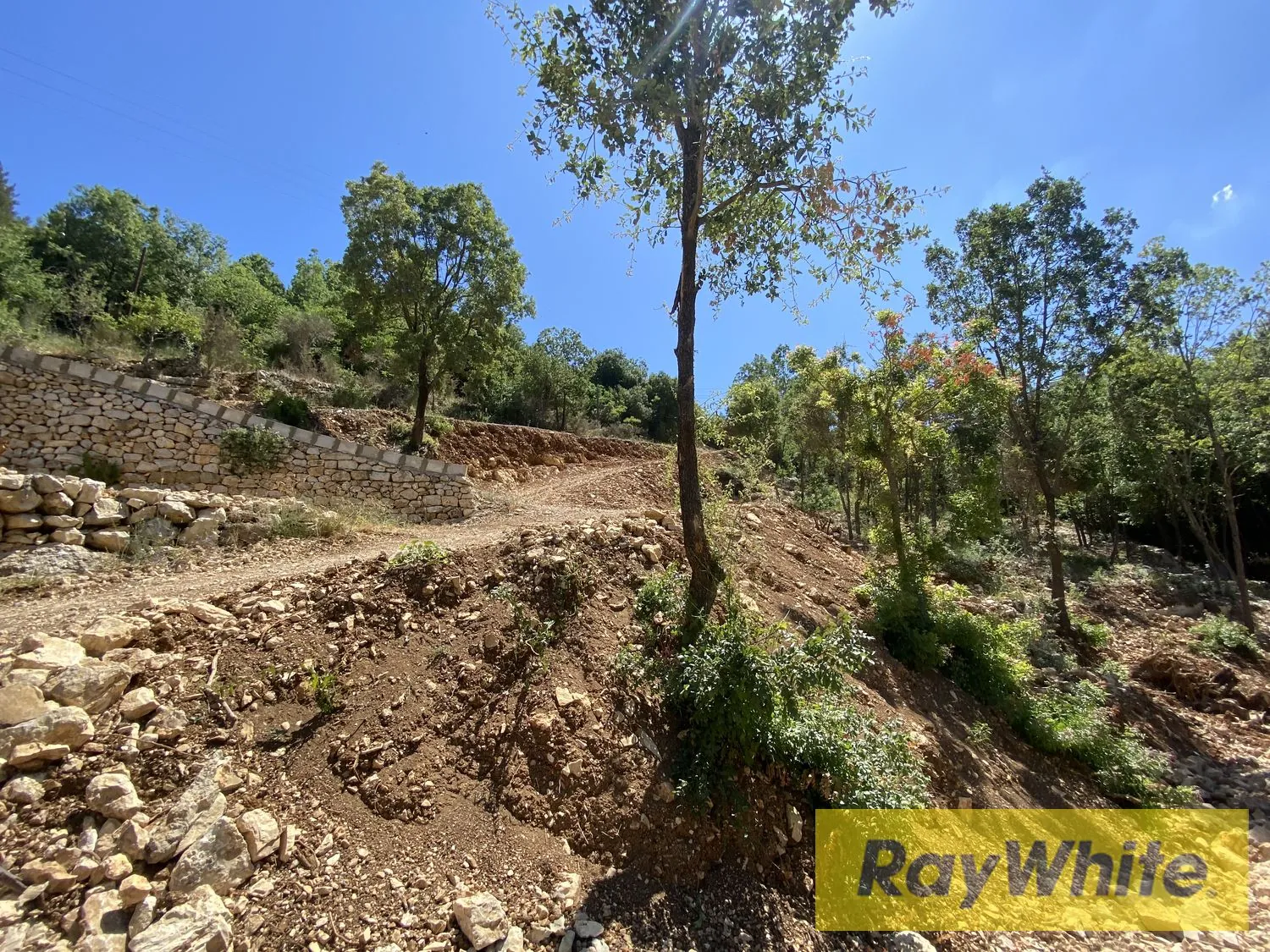 Land For Sale In Azra Keserwan — الصورة 2