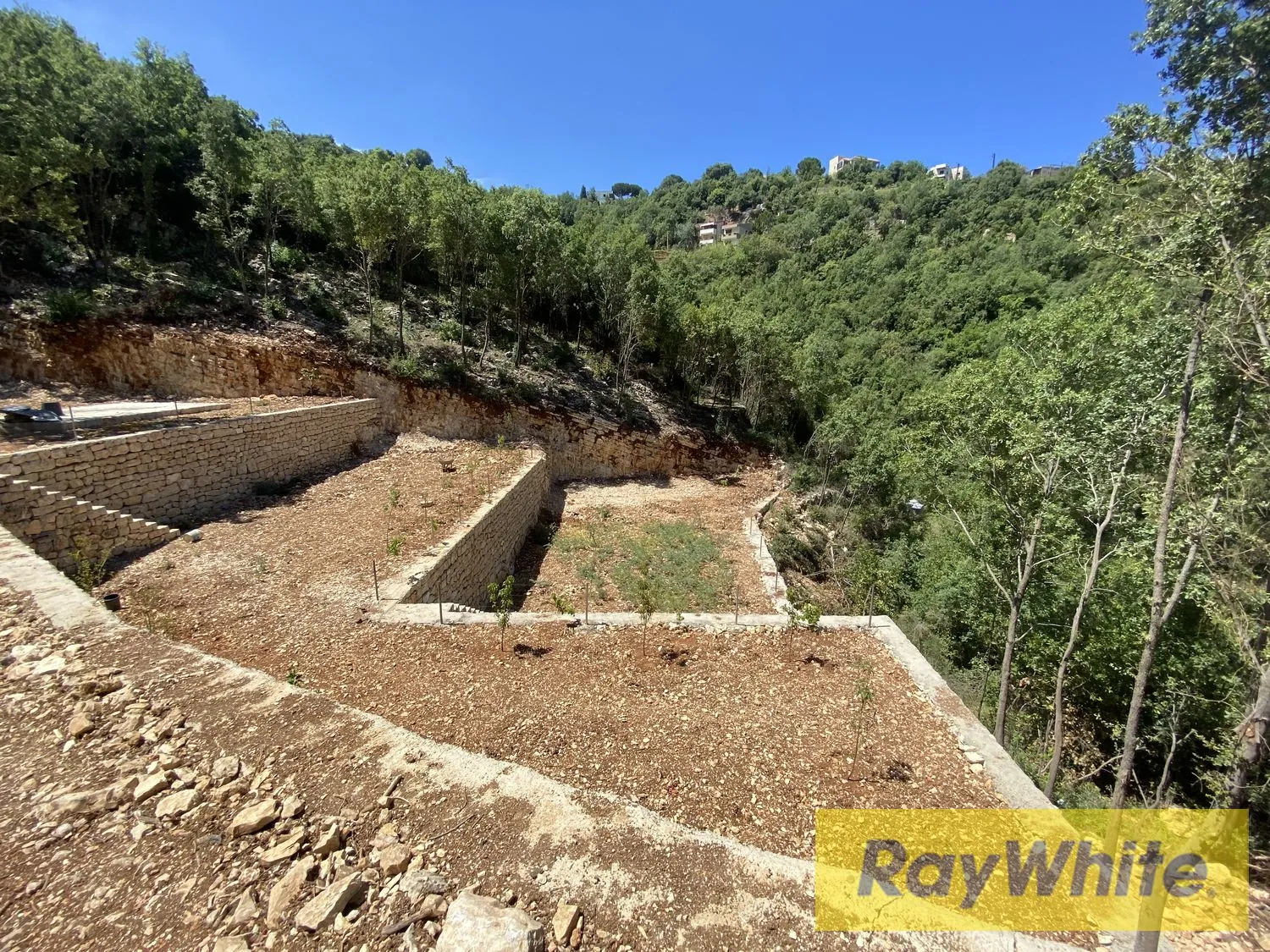 Land For Sale In Azra Keserwan — الصورة 4
