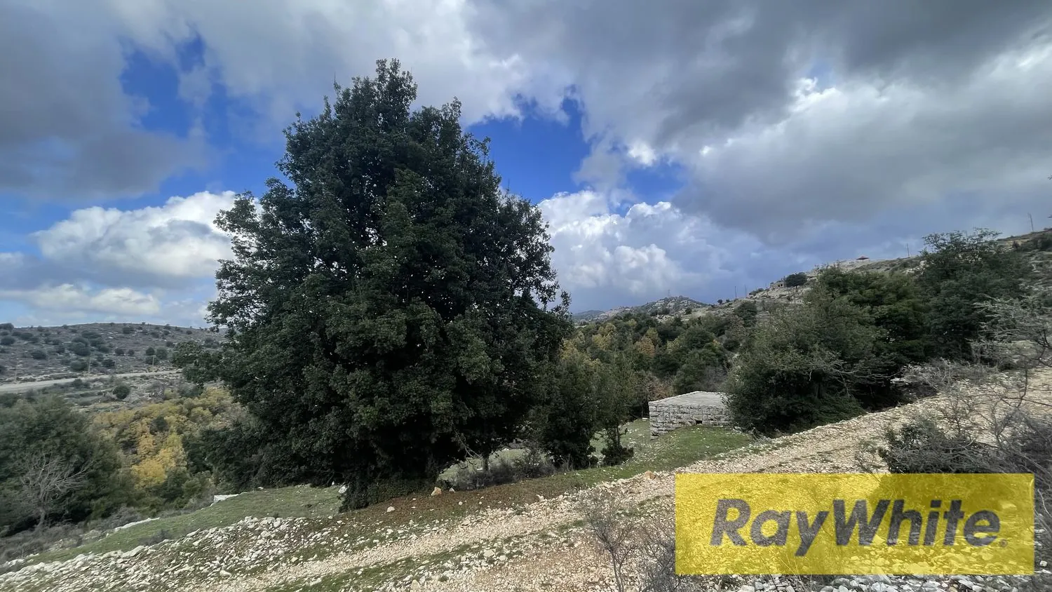 Land For Sale In Mechmech Jbeil — الصورة 2