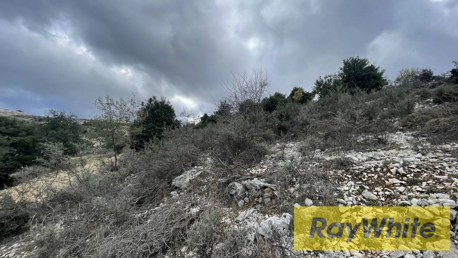 Land For Sale In Mechmech Jbeil — الصورة 5