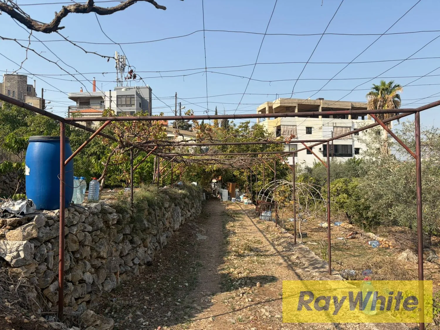 Land For Sale In Hboub Jbeil — الصورة 2