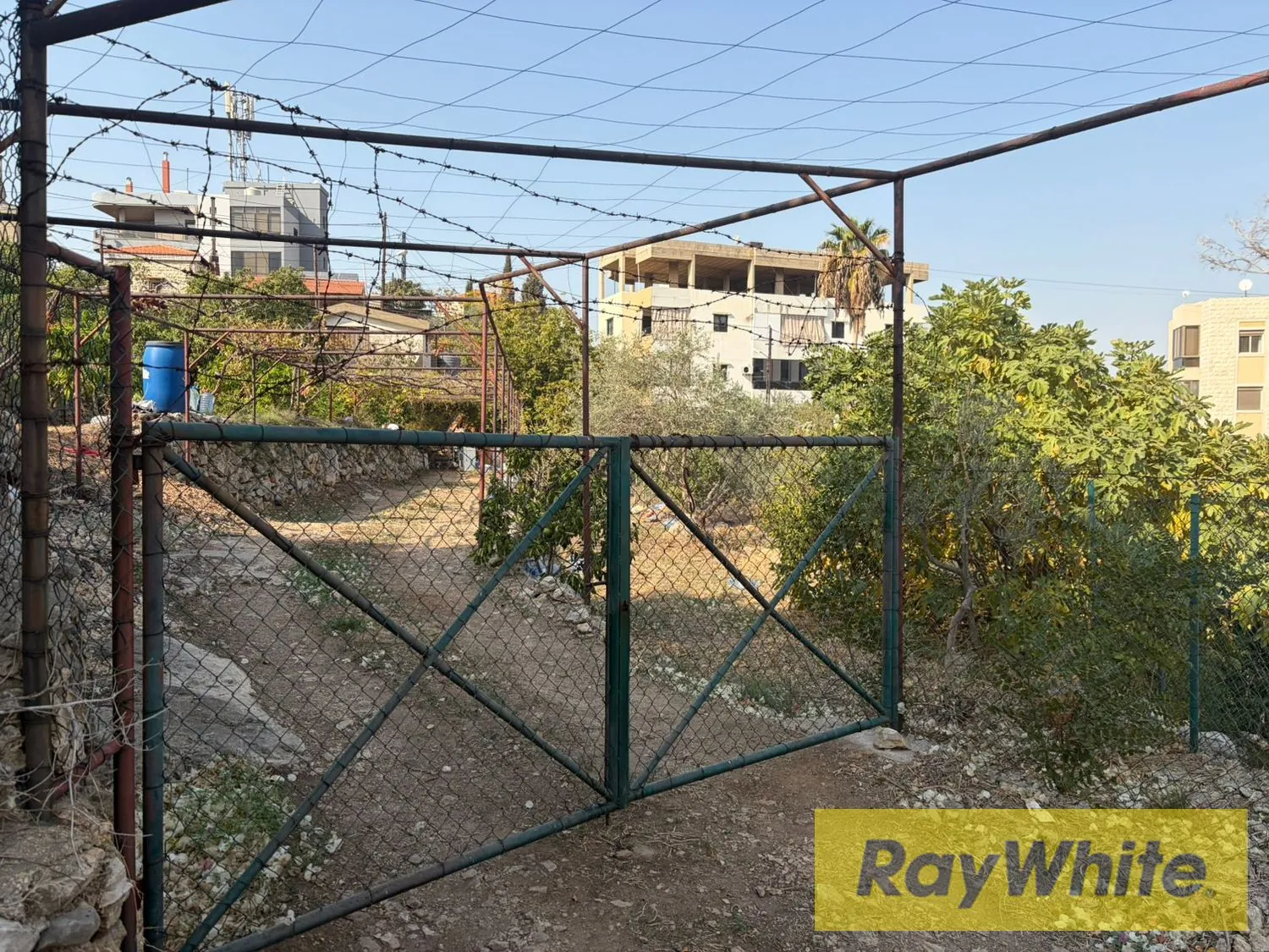 Land For Sale In Hboub Jbeil — الصورة 3