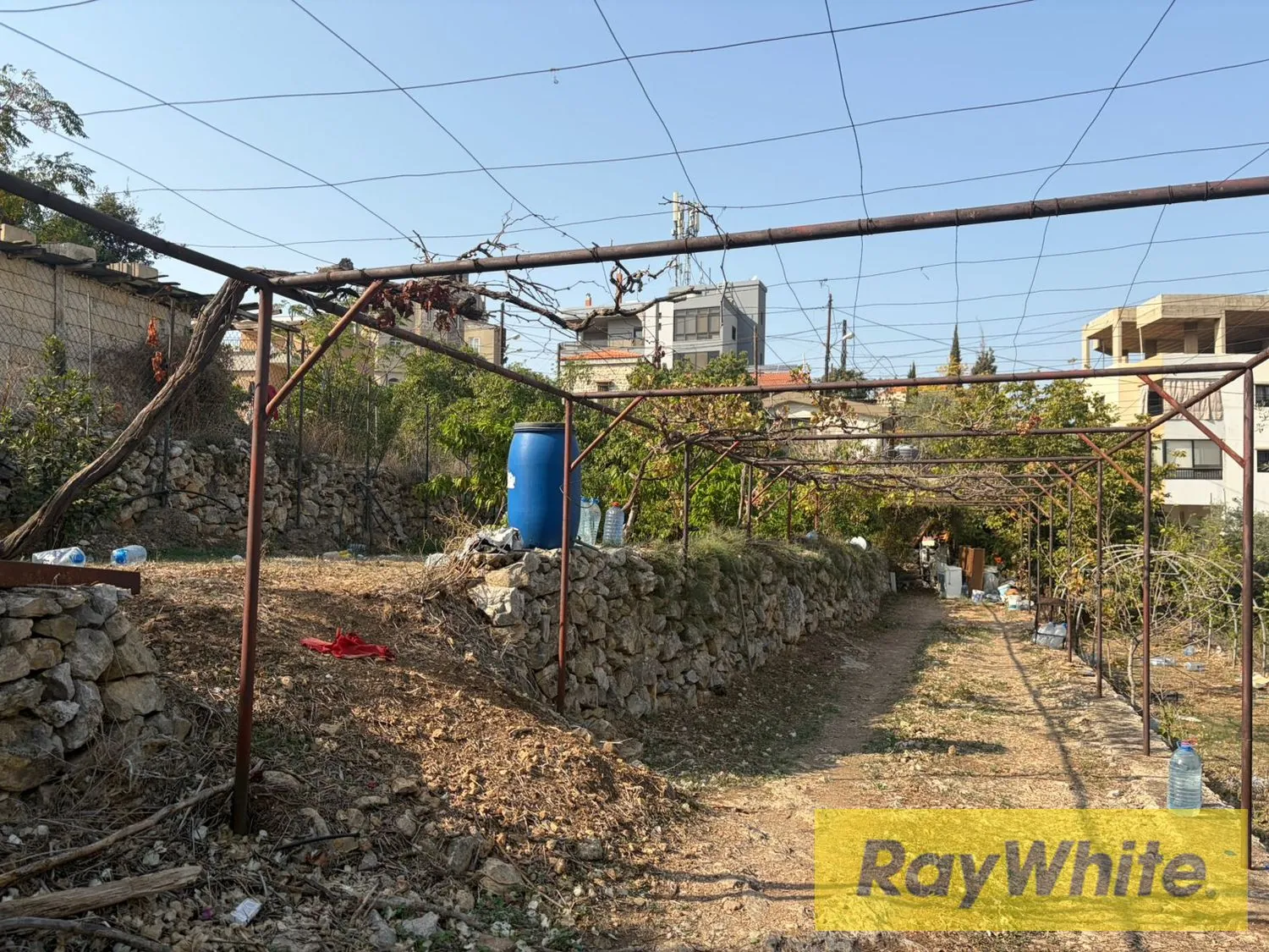 Land For Sale In Hboub Jbeil — الصورة 4