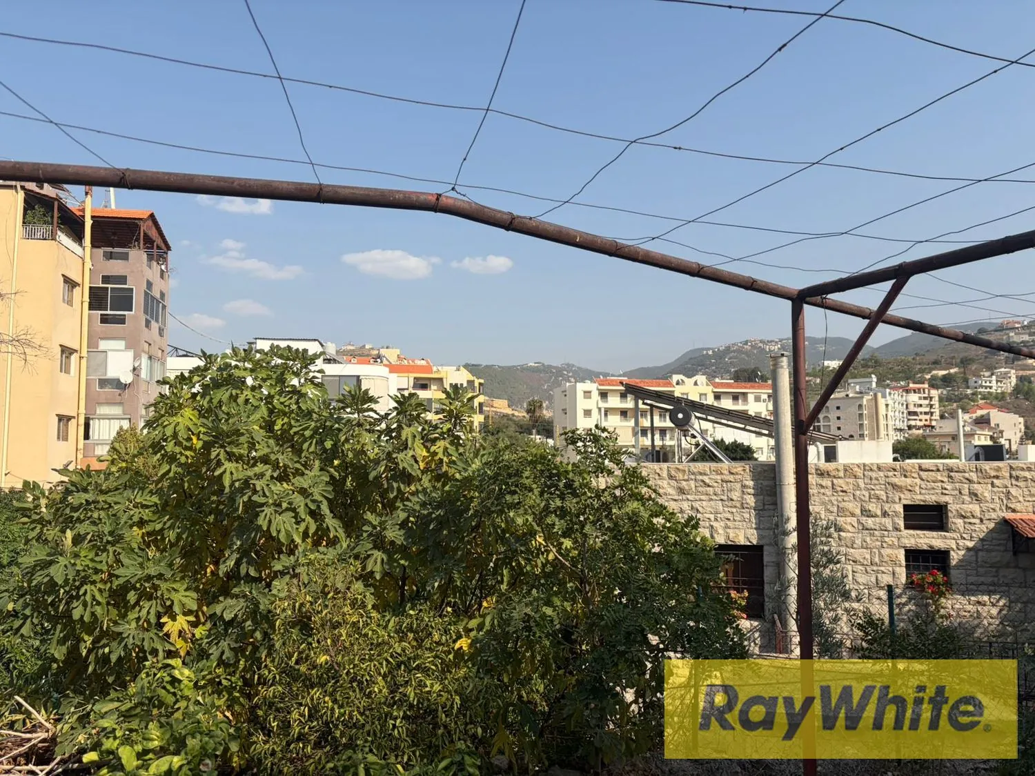Land For Sale In Hboub Jbeil — الصورة 5