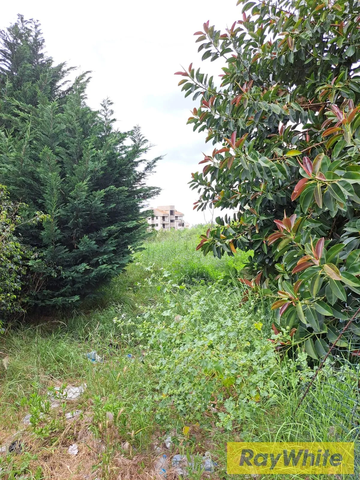 Land For Sale In Mazraat Yachouh — الصورة 2