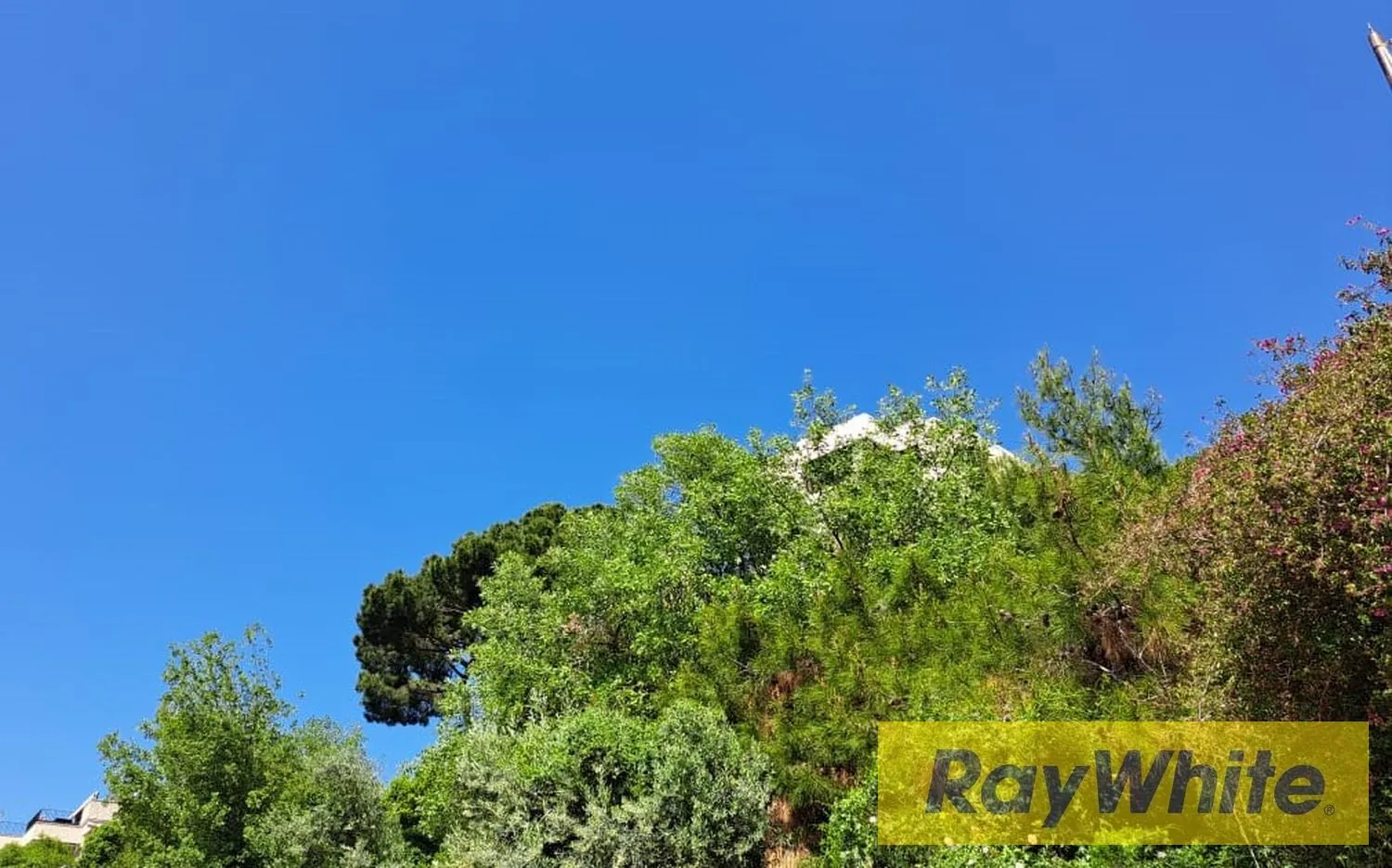 Unique Land For Sale In Dik El Mehdi!