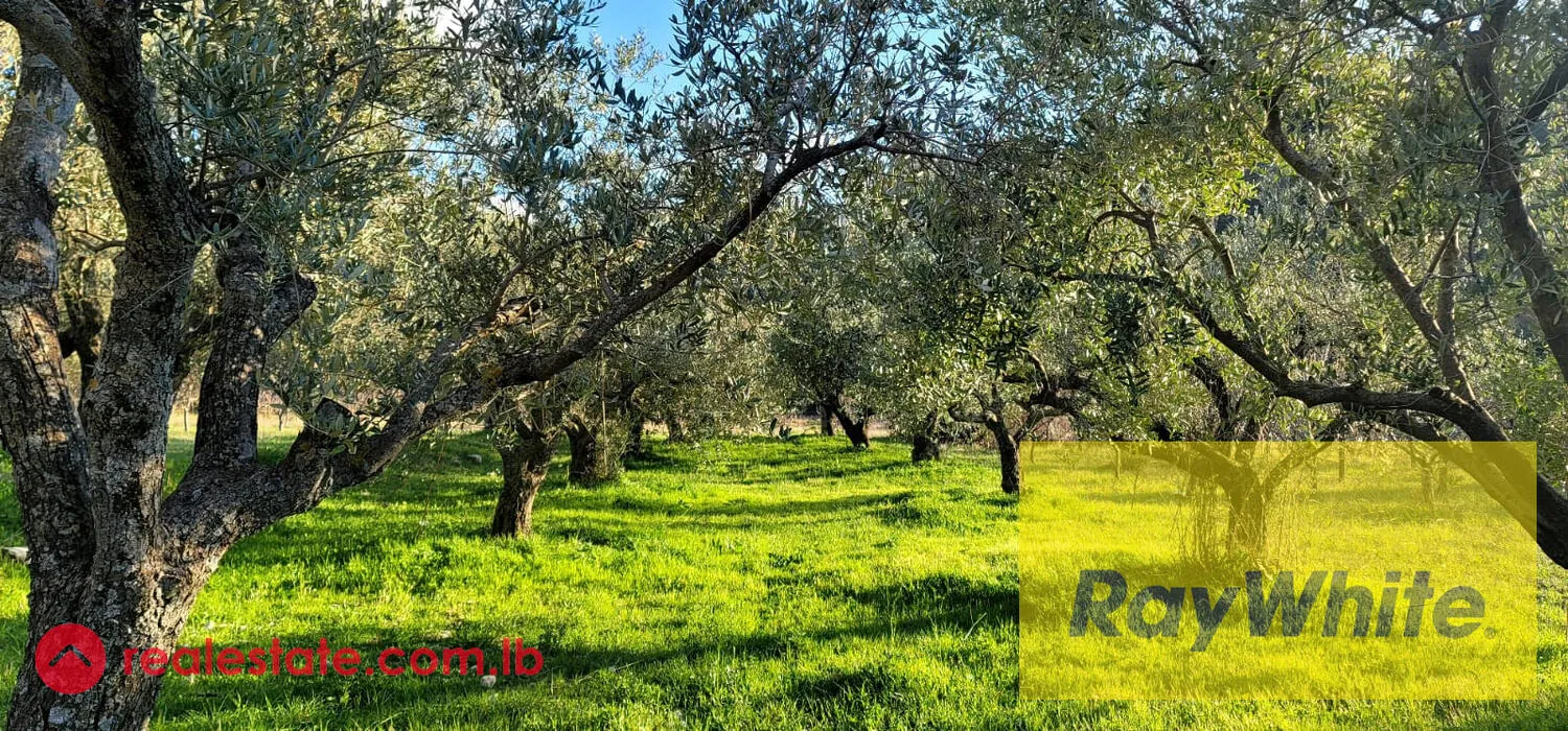 Land For Sale In Lehfed – Jbeil