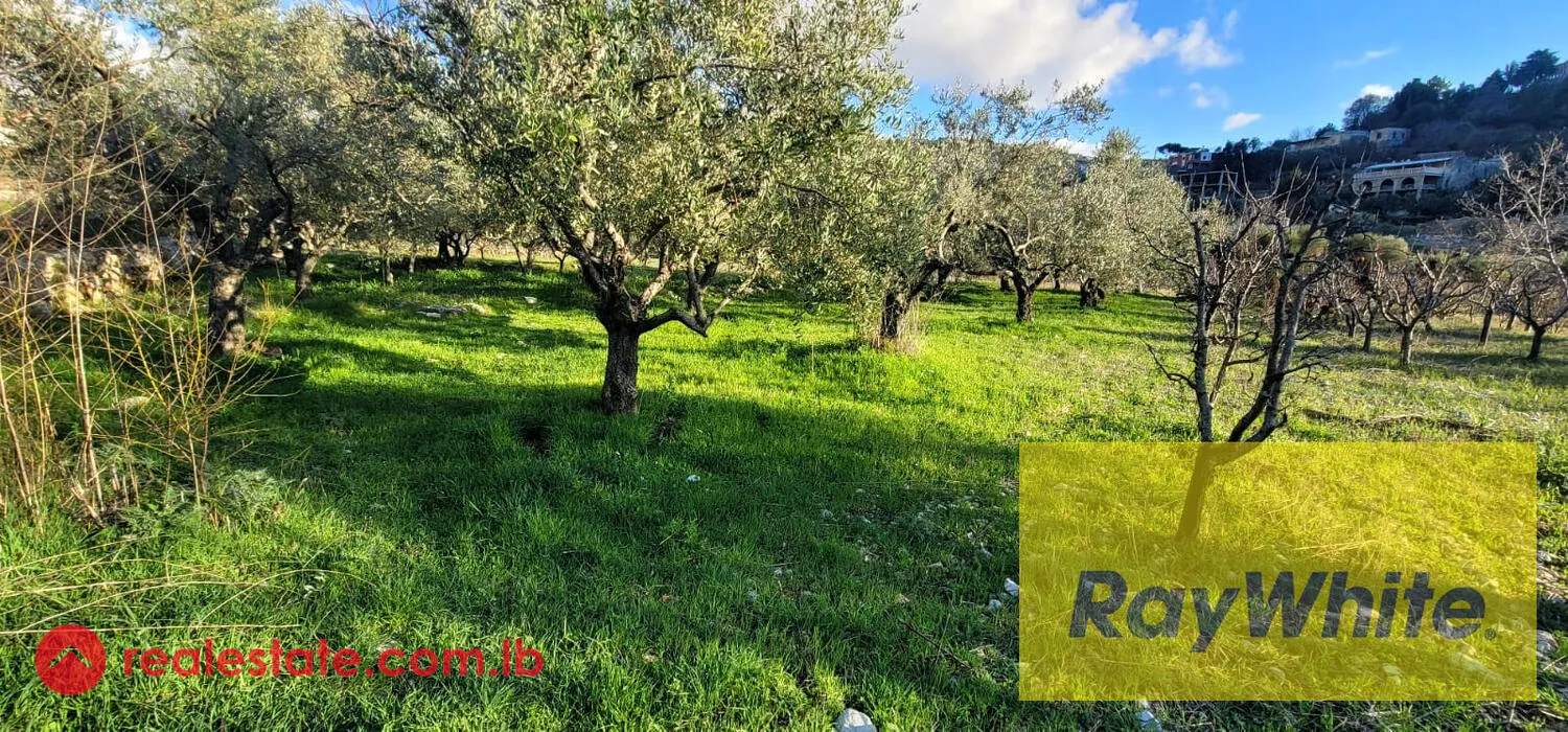Land For Sale In Lehfed – Jbeil — الصورة 2