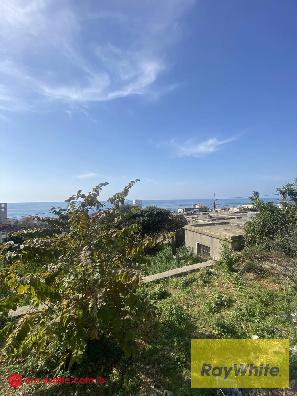 Land For Sale In Okaibeh — الصورة 2