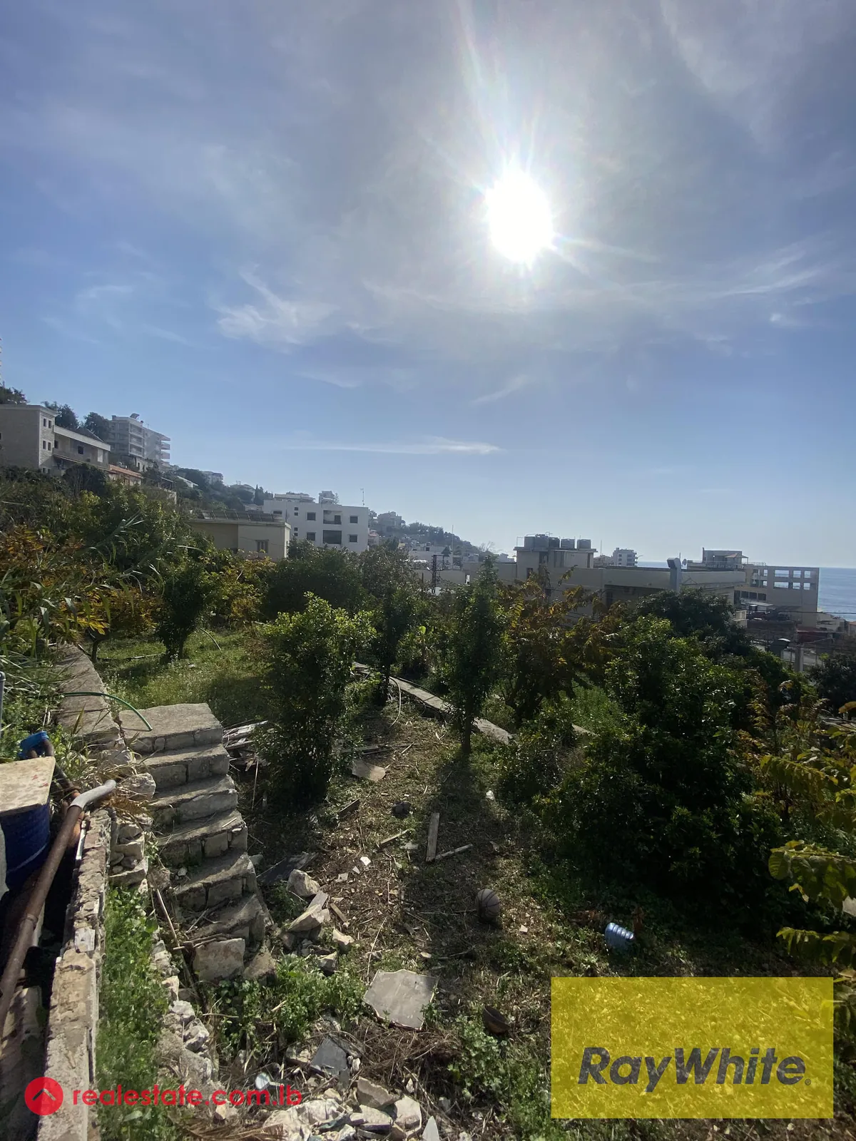 Land For Sale In Okaibeh — الصورة 3