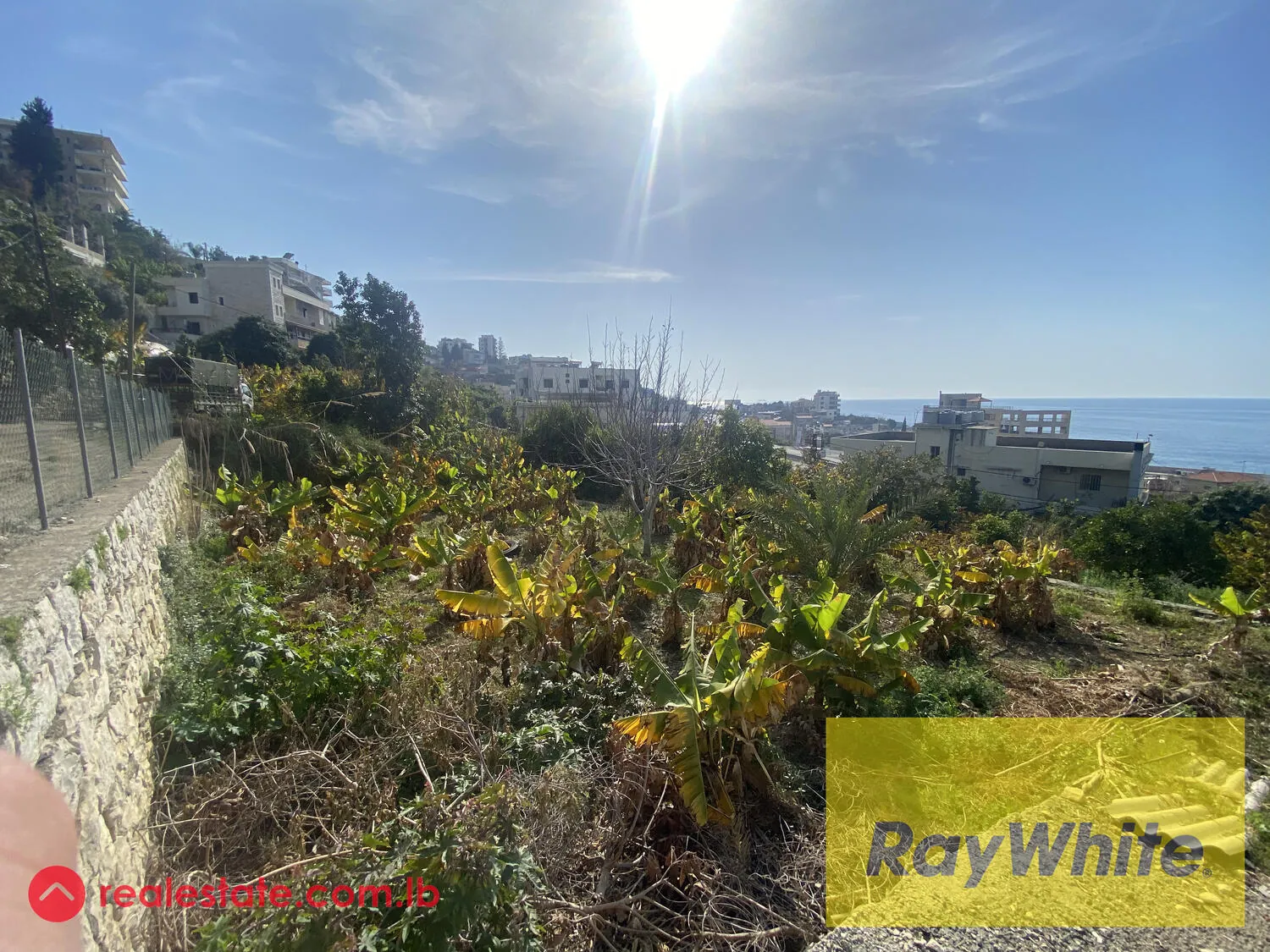 Land For Sale In Okaibeh — الصورة 4