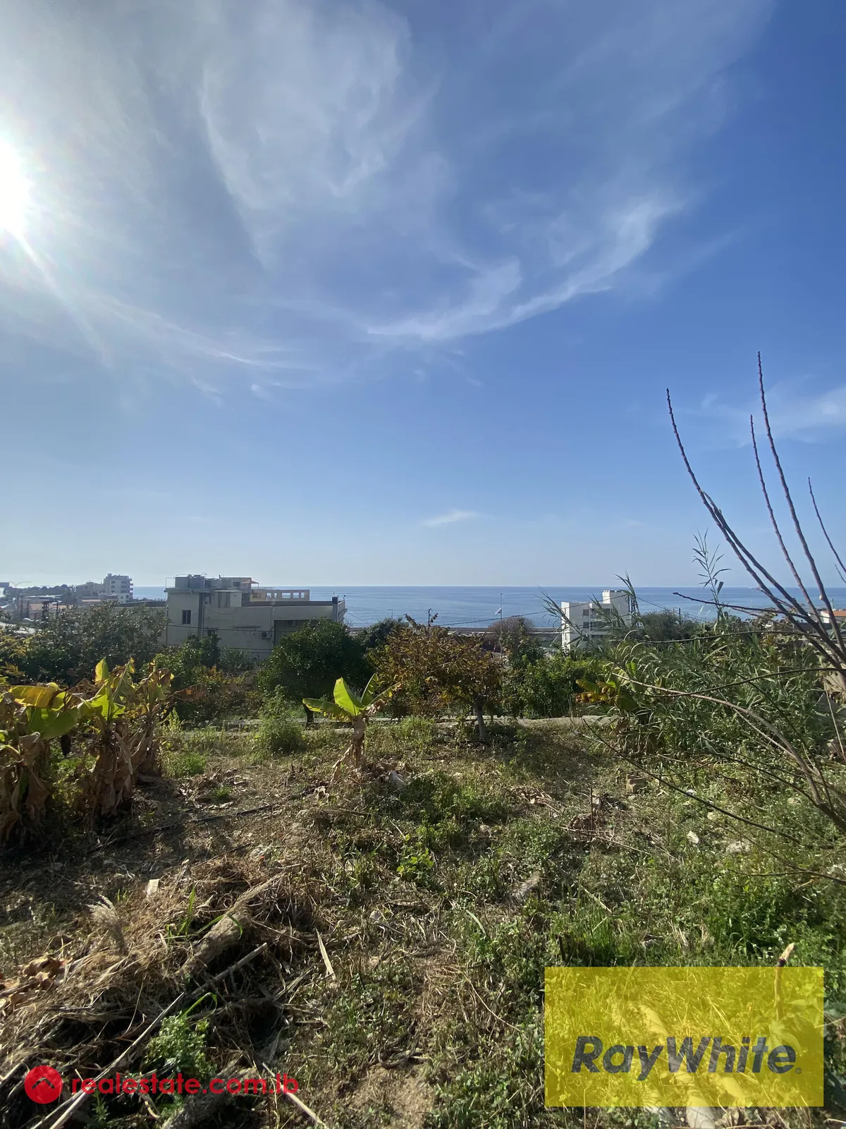 Land For Sale In Okaibeh — الصورة 5