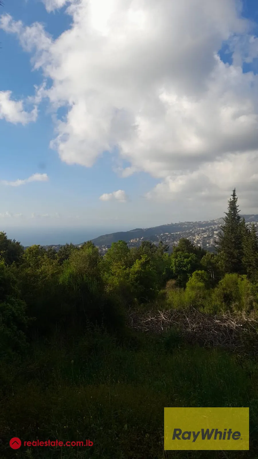 For Sale 1820m² Land In Prime Ain Aar 25/50