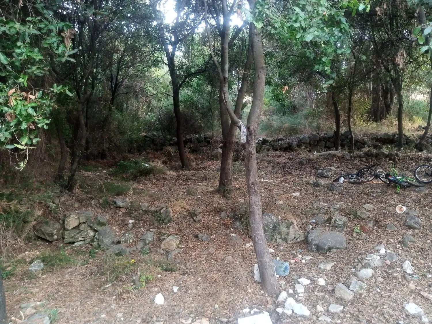 Two Lands For Sale In Amchit With Sea View