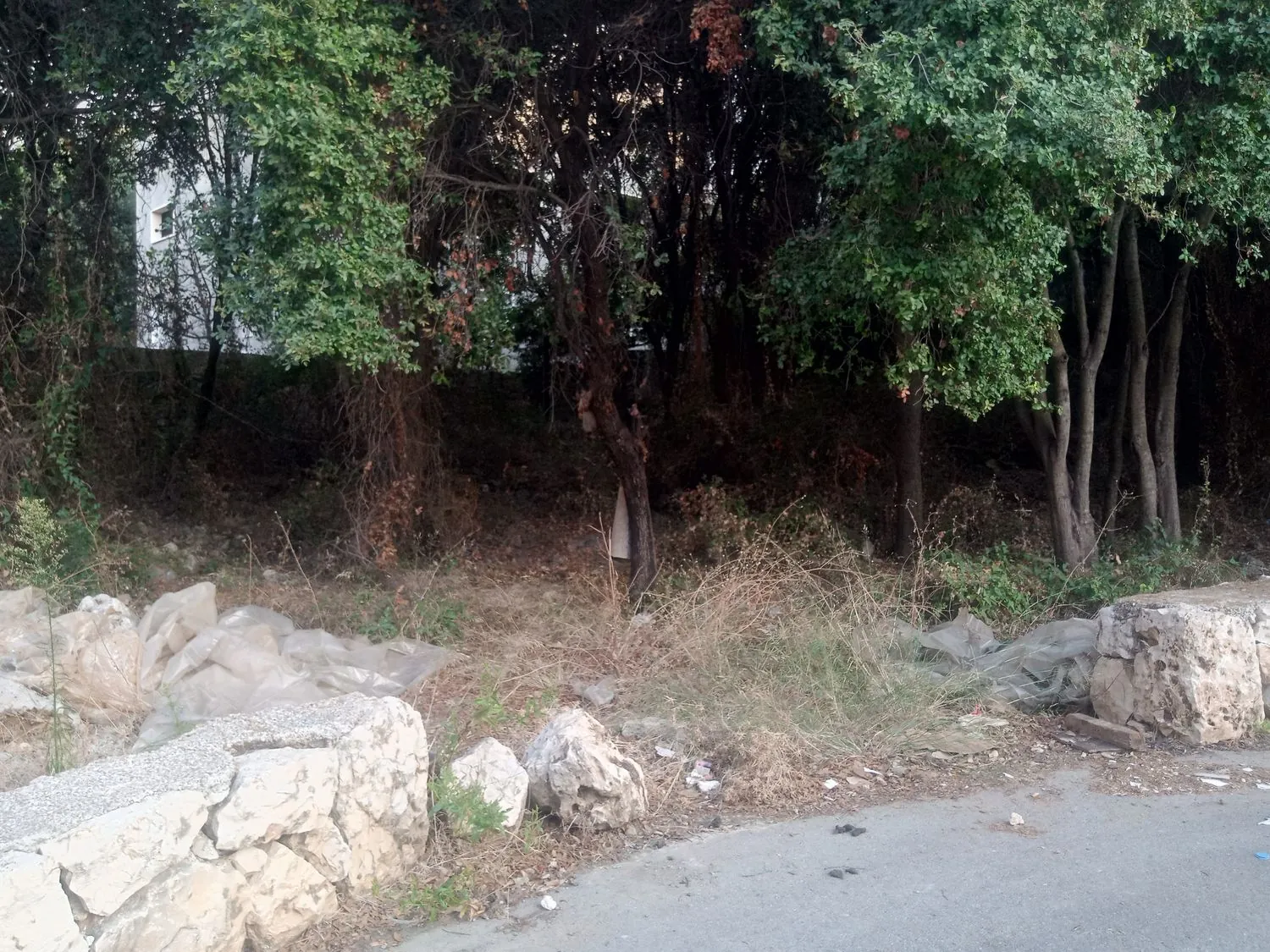 Two Lands For Sale In Amchit With Sea View — الصورة 5