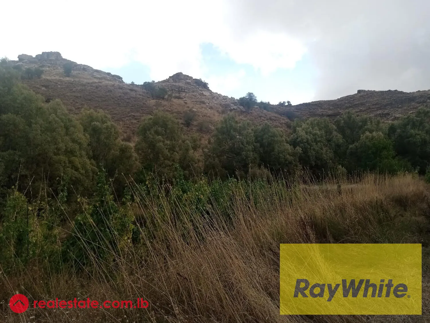 Prime Location Land For Sale In Laklouk With Mountains View. — الصورة 2
