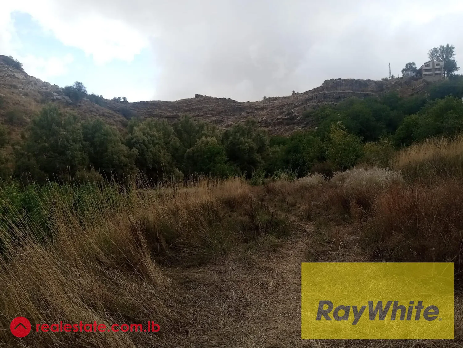 Prime Location Land For Sale In Laklouk With Mountains View. — الصورة 3