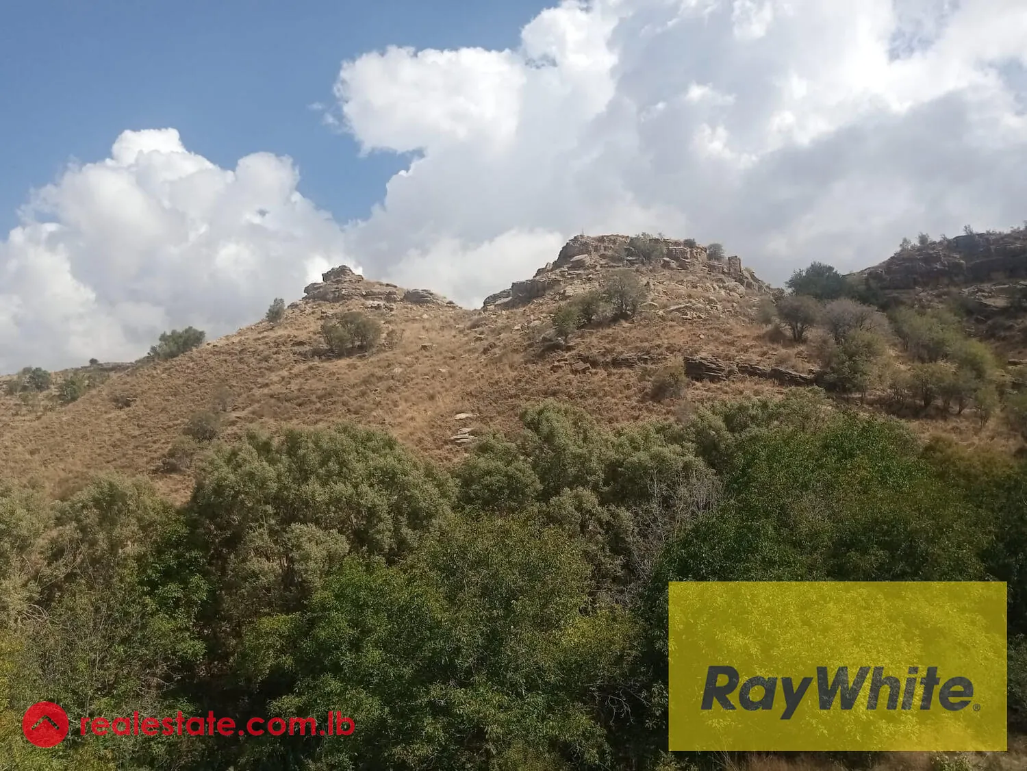 Prime Location Land For Sale In Laklouk With Mountains View. — الصورة 4