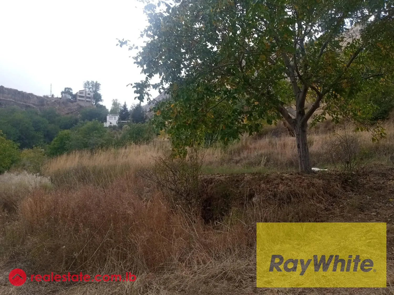 Prime Location Land For Sale In Laklouk With Mountains View. — الصورة 5