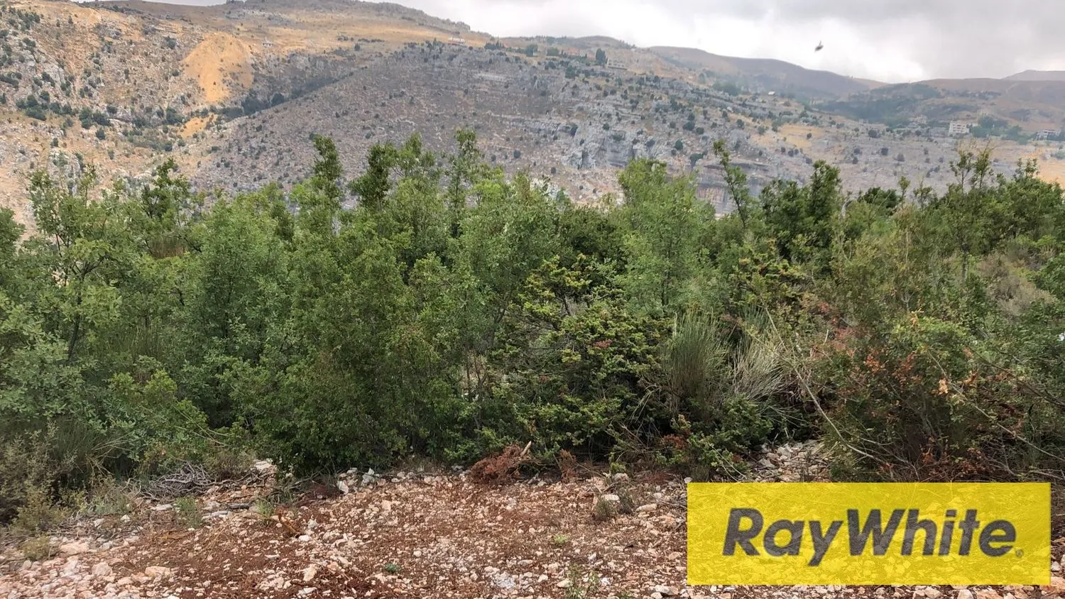 Land For Sale In Tarchich – 700 Sqm | Subdivision Project – Road Access — photo 2