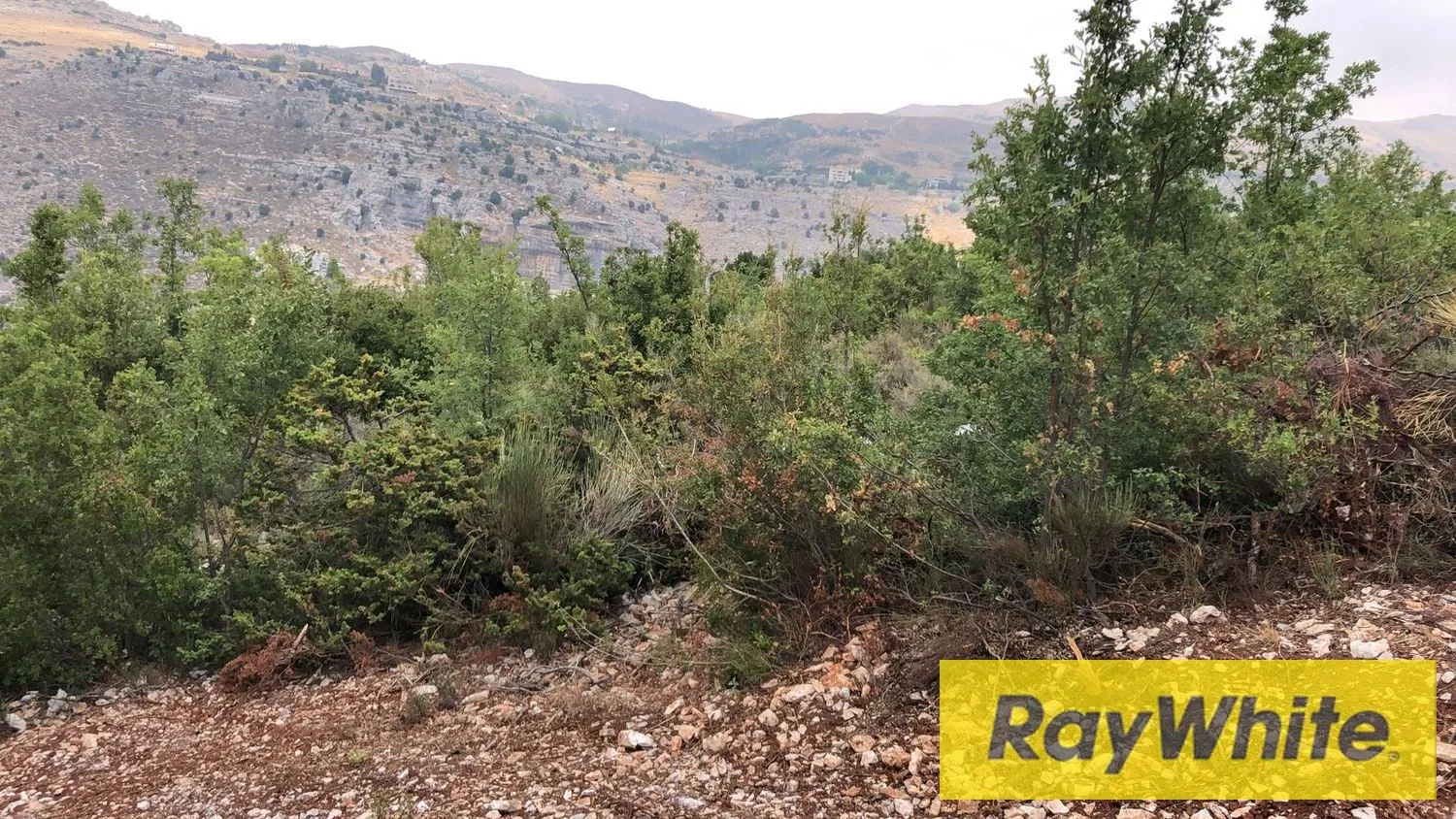Land For Sale In Tarchich – 700 Sqm | Subdivision Project – Road Access — photo 3
