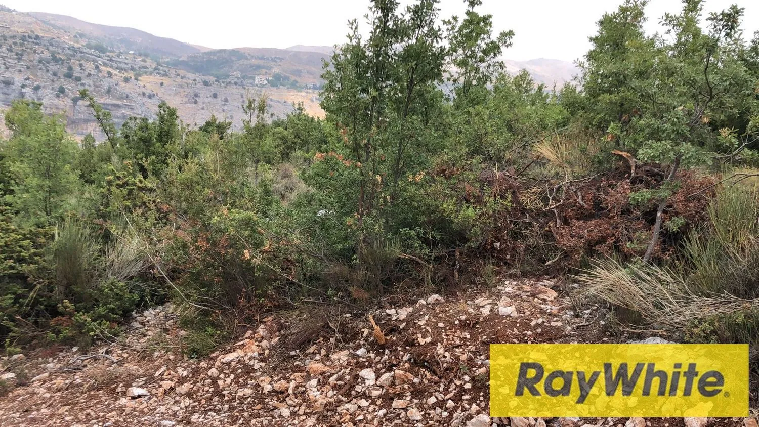 Land For Sale In Tarchich – 700 Sqm | Subdivision Project – Road Access — photo 4