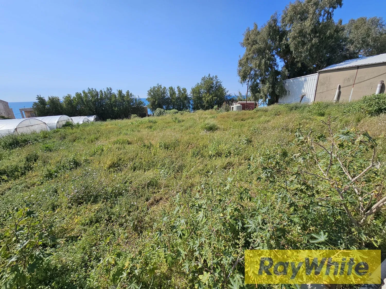 Land For Rent In Halat Jbeil