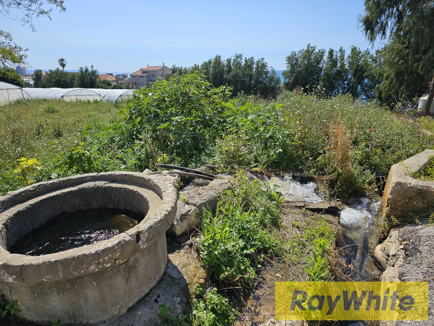 Land For Rent In Halat Jbeil — الصورة 3