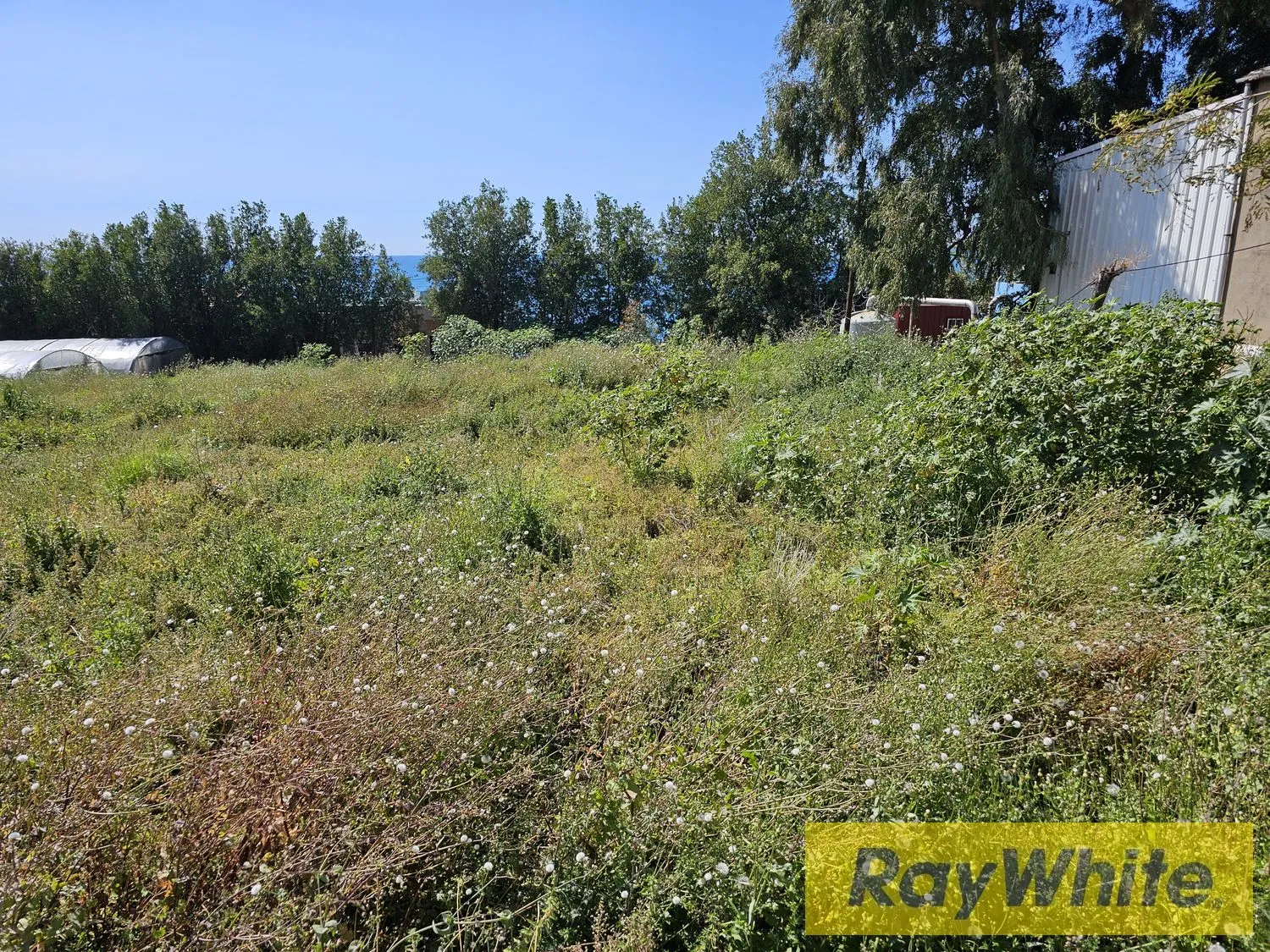 Land For Rent In Halat Jbeil — الصورة 4