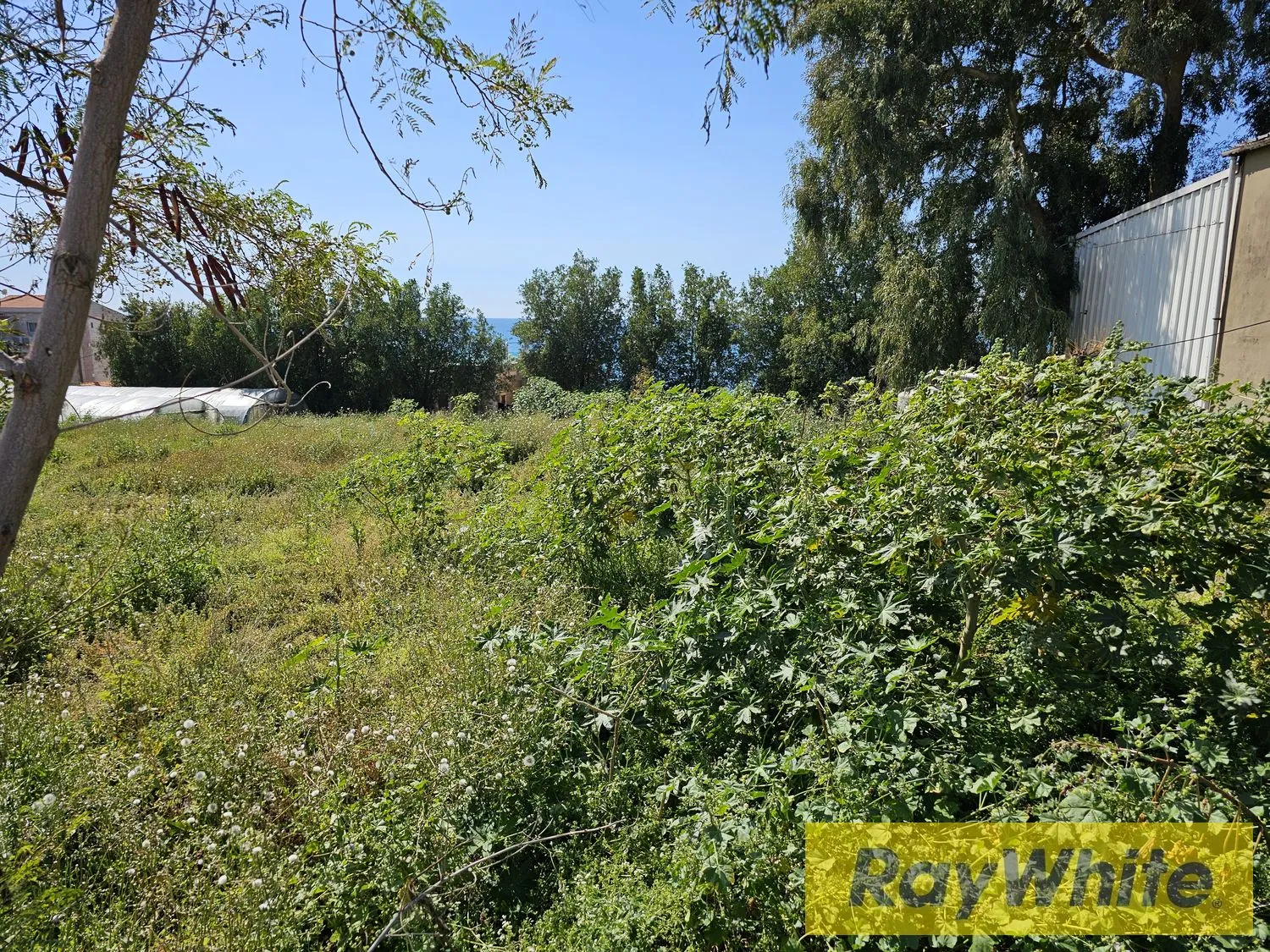 Land For Rent In Halat Jbeil — الصورة 5
