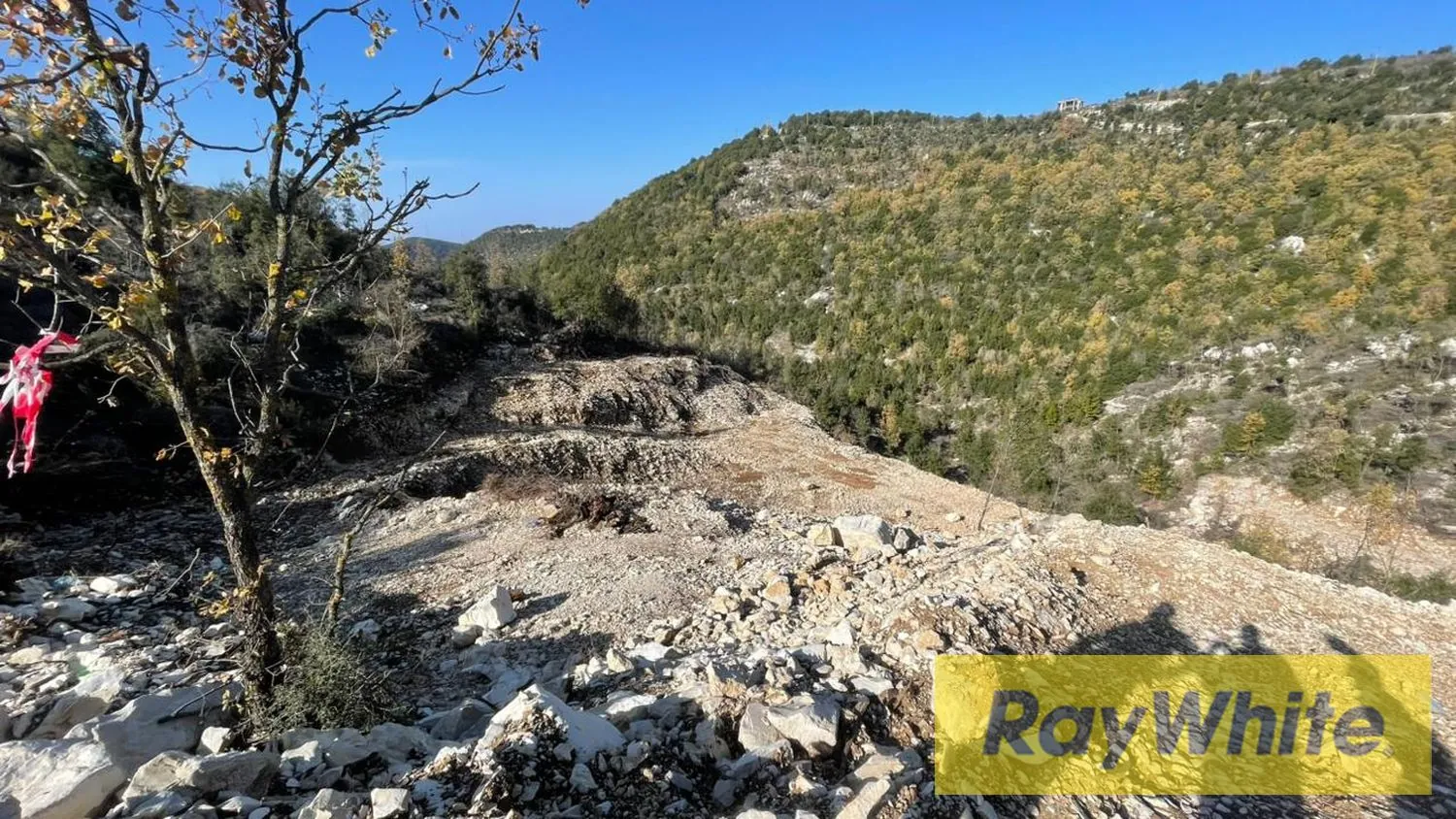 Land For Sale In Mechmech Jbeil — الصورة 5