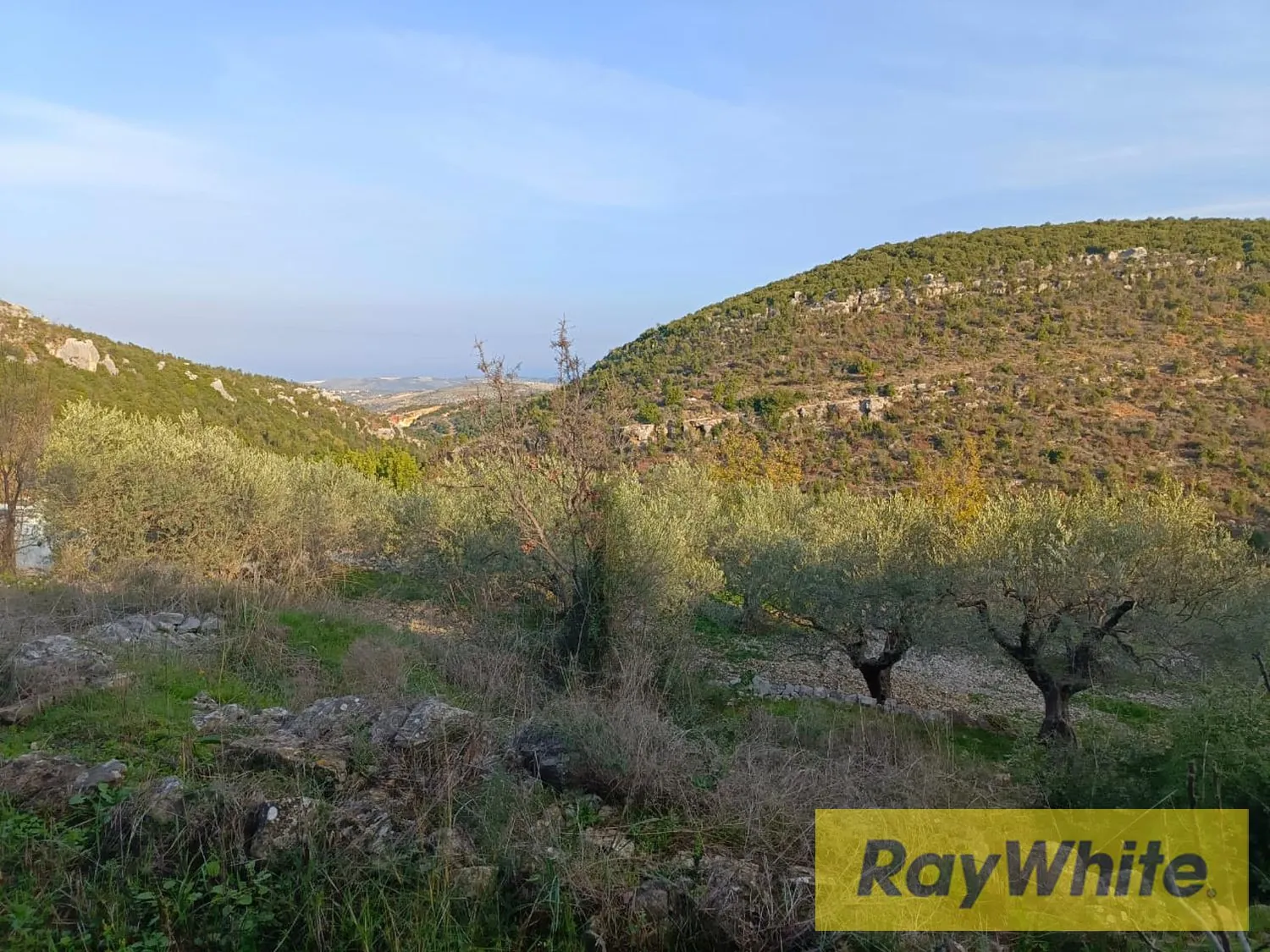 Land For Sale In Assia Batroun — photo 2