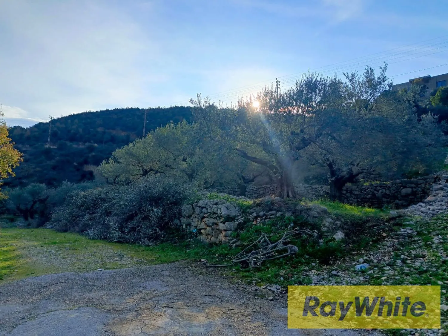 Land For Sale In Assia Batroun — photo 3