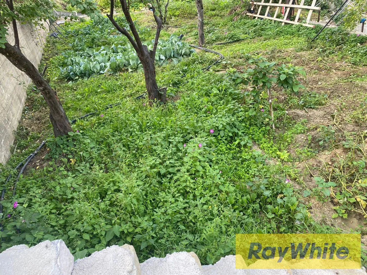 Land With Stand Alone For Sale In Ghazir — الصورة 4