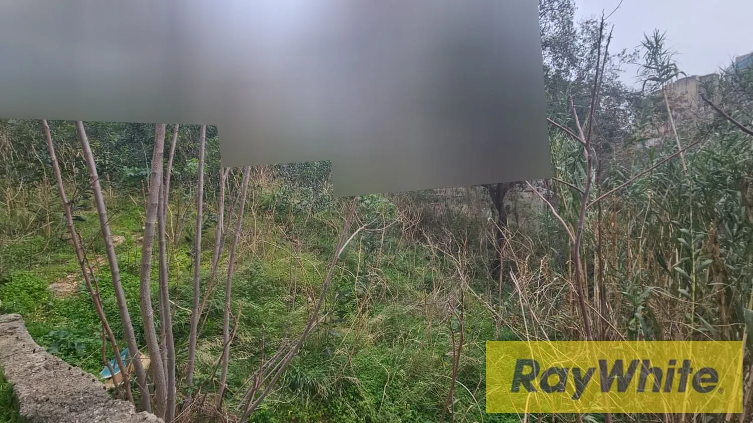 Land For Sale In Hazmieh 750m2| Zone 40|120 — الصورة 3