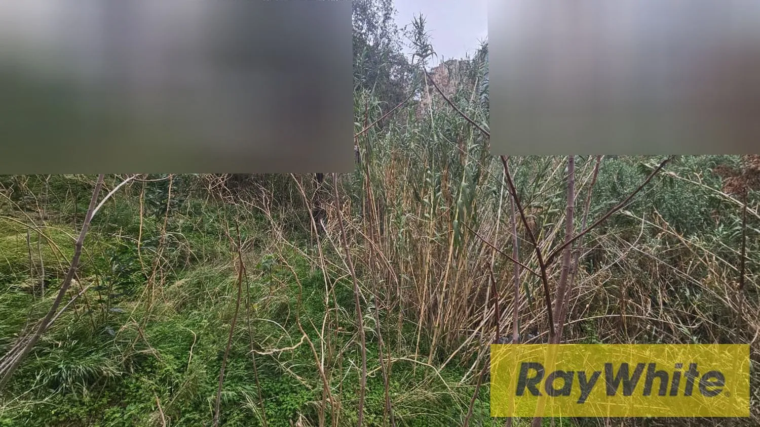 Land For Sale In Hazmieh 750m2| Zone 40|120 — الصورة 5