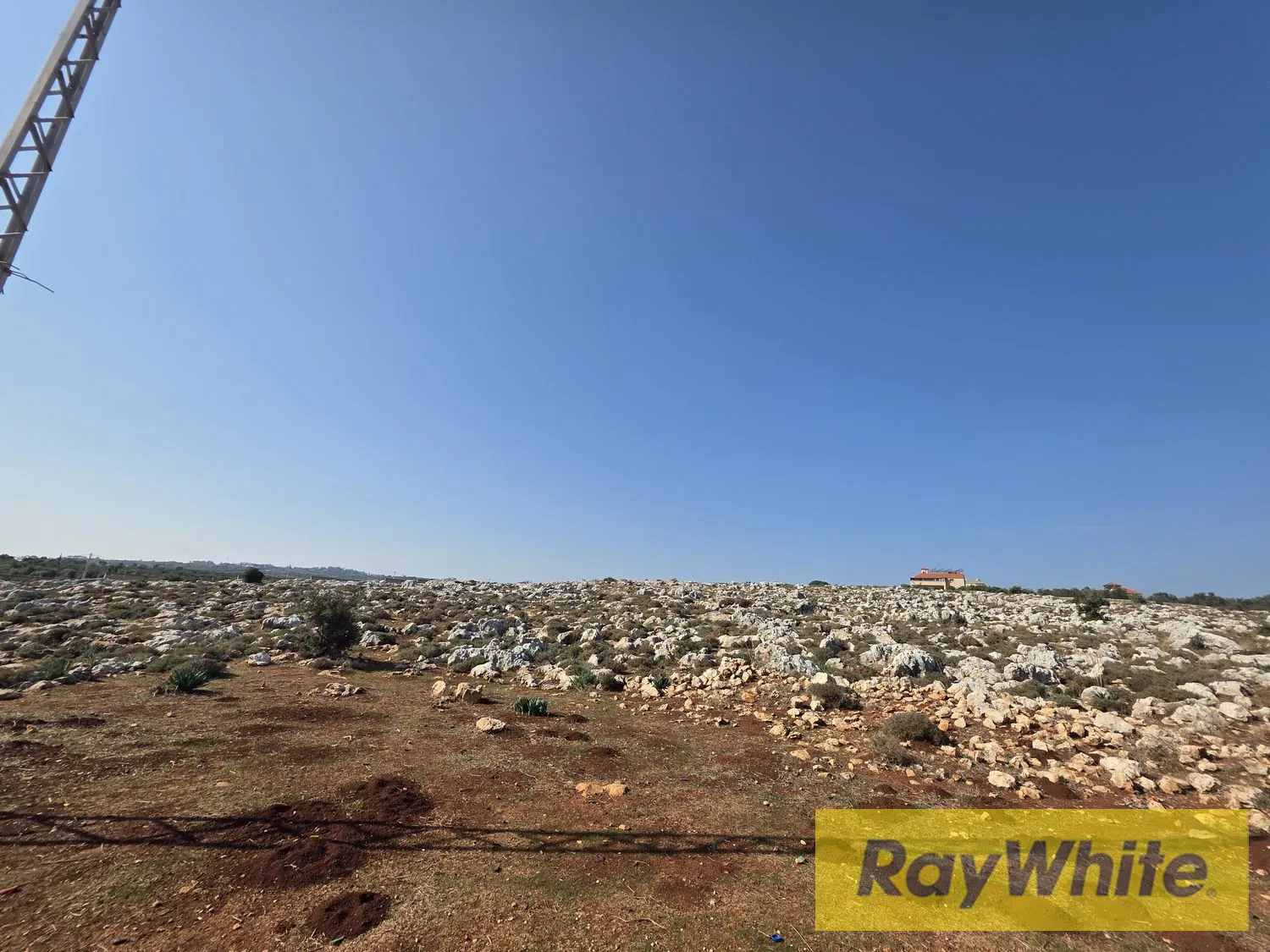 Land For Sale In Nakhleh Koura