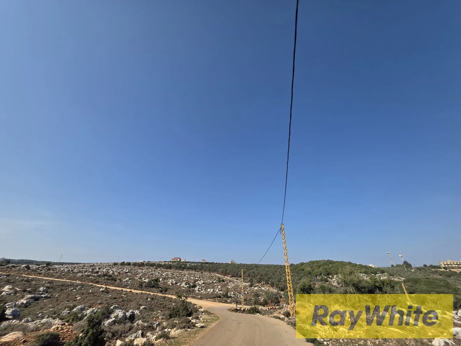 Land For Sale In Nakhleh Koura — الصورة 2